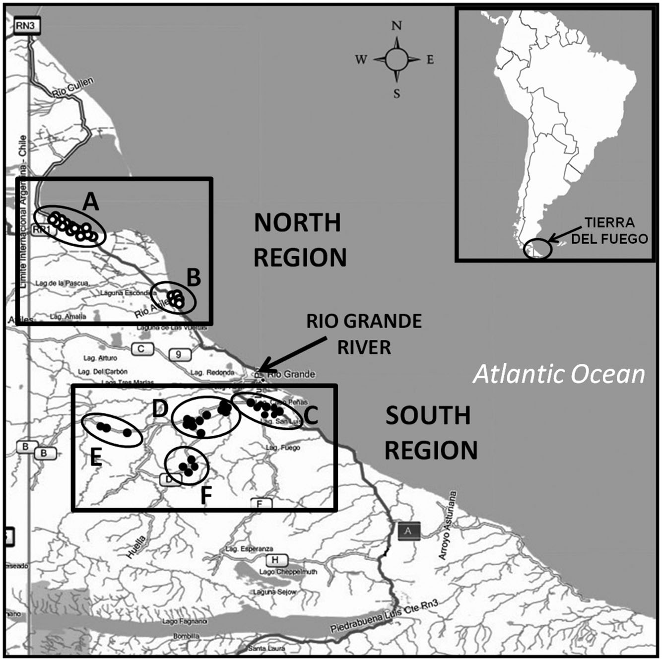Geographical distribution of Ctenomys magellanicus sampling sites along the study area. Squares show the