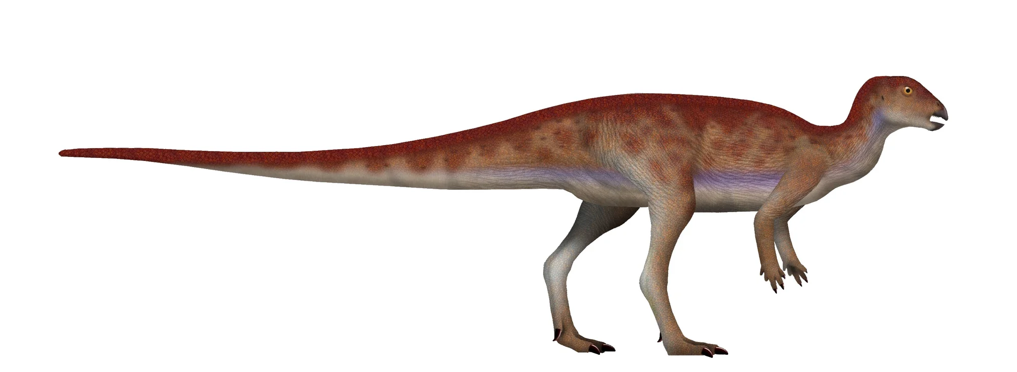 Hypsilophodon