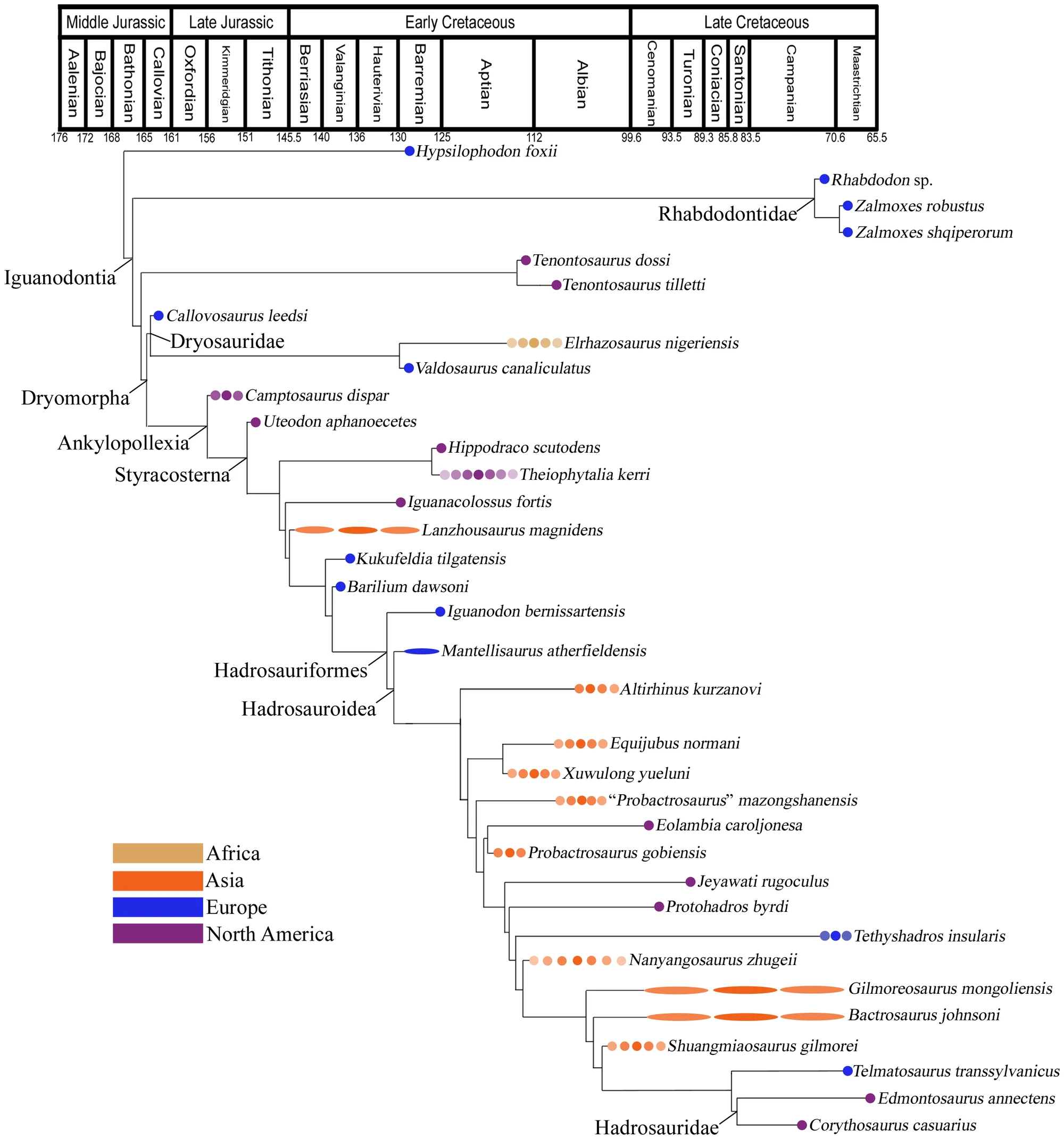 Figure 1. Phylogeny and Temporal and Geographical Occurrences of Basal Iguanodonts.