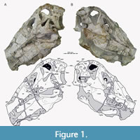 s figure1