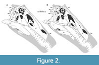 s figure2