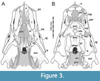 s figure3