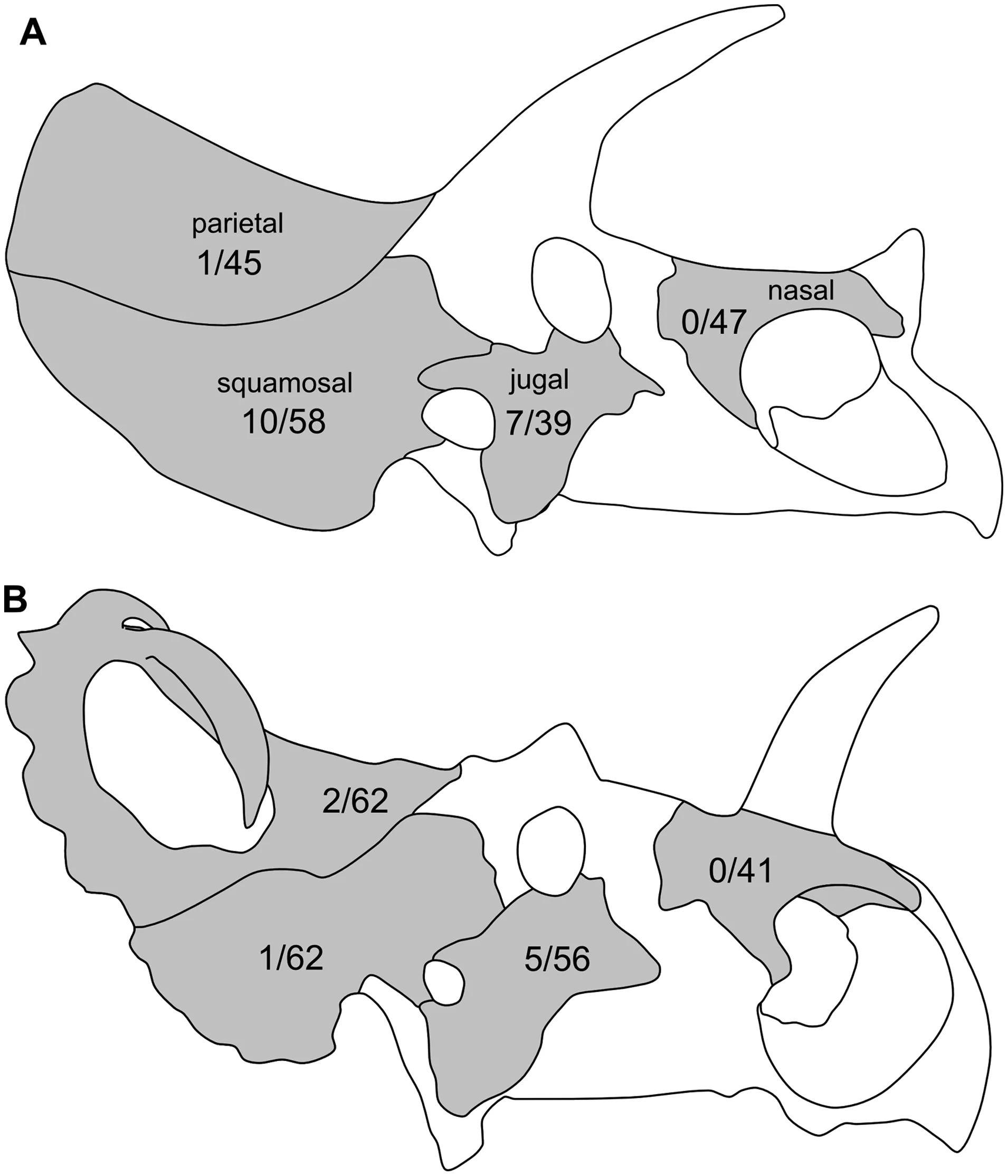 Figure 1. Cranial lesions in horned dinosaurs.