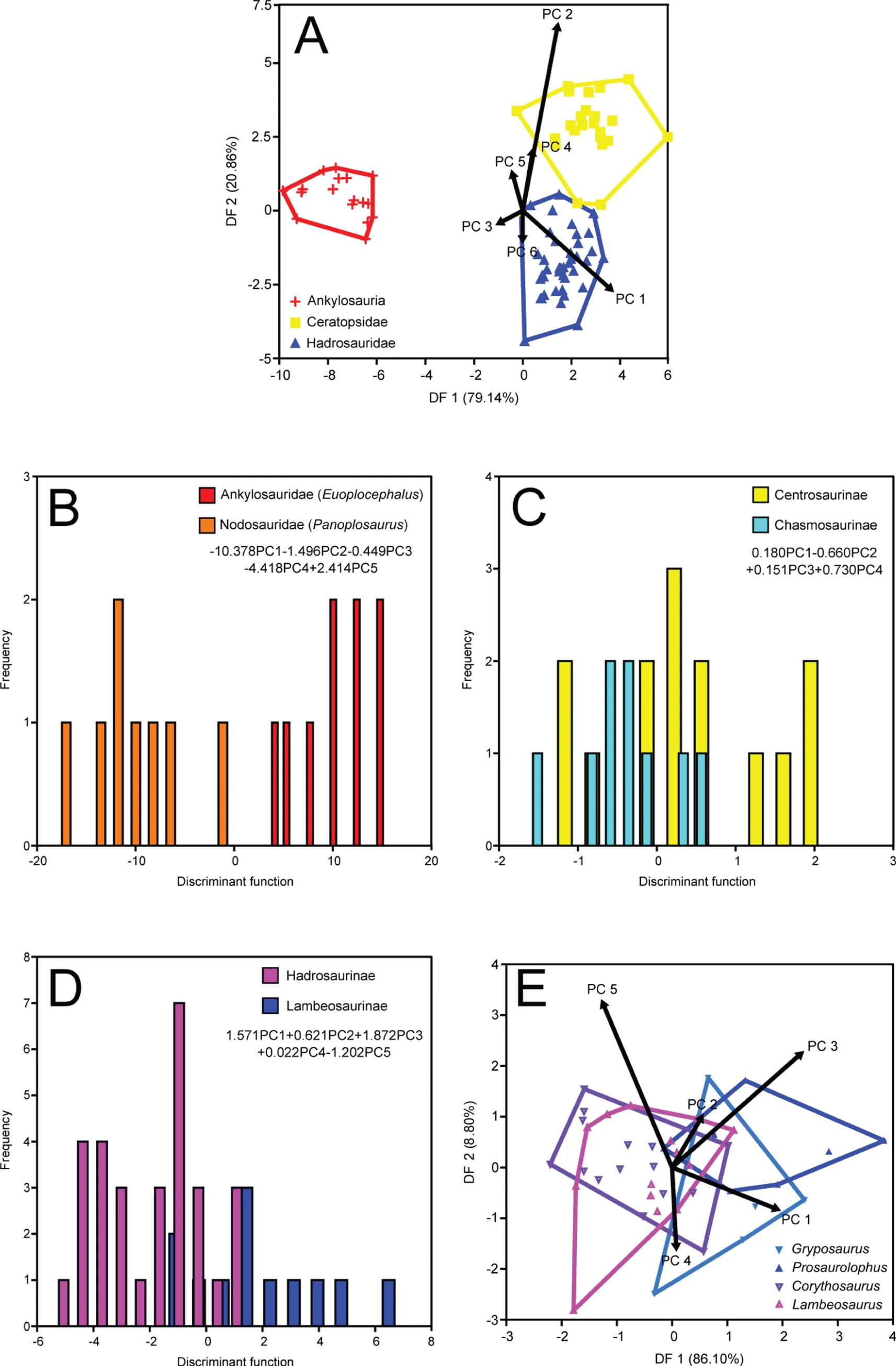 Figure 3. Time-averaged DFAs.