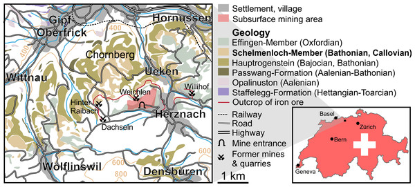 Figure 1: Geological map of the Frick region depicting the position of the village of Wölflinswil as well as that of the former iron mine at Herznach. The map was redrawn using various maps from SwissTopo ( https://map.geo.admin.ch ) and from Hüsser (1996) . Download full-size image DOI: 10.7717/peerj.13244/fig-1