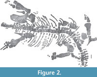 s figure2