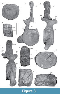 s figure3