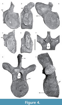 s figure4