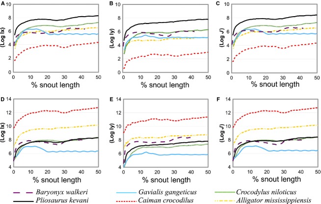 Second moment of area (I) and polar moment of inertia (J) of crocodilian, spinosaurid and DORCM G.13 675 snouts. (A–C) Absolute value patterns are reported on a logarithmic scale. (D–F) Size-corrected trends obtained by rescaling each snout to the length of the pliosaur. Ix , bending resistance about dorso-ventral axis; Iy , bending resistance about medio-lateral axis; J , tosional resistance ( Ix + Iy ).