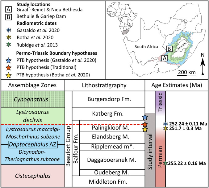 Map of South Africa depicting the distribution of the four tetrapod fossil assemblage zones ( Cistecephalus , Daptocephalus , Lystrosaurus declivis , Cynognathus ) and our two study sites where fossils were collected in this study (sites A and B). Regional lithostratigraphy and biostratigraphy within the study interval are shown alongside isotope dilution–thermal ionization mass spectrometry dates retrieved by Rubidge et al., Botha et al., and Gastaldo et al. ( 37 , 44 , 80 ). The traditional (d