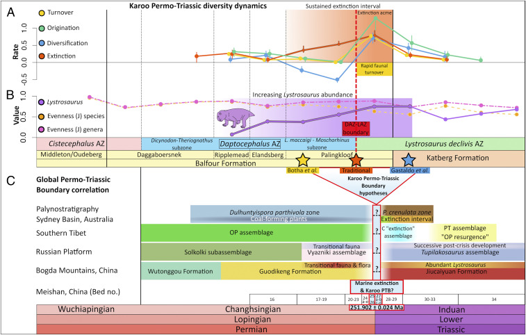 ( A ) Turnover, origination, diversification, and extinction dynamics of tetrapod species across the PTT in South Africa’s Karoo Basin. ( B ) Evenness (J) at species and genus resolution are shown in comparison to the genus level dominance of Lystrosaurus , which becomes abundant before the main extinction acme. This dominance is sustained and peaks in the post extinction interval. Rates were calculated from fossil occurrence data in 13 stratigraphic bin intervals. ( C ) Three hypotheses for the