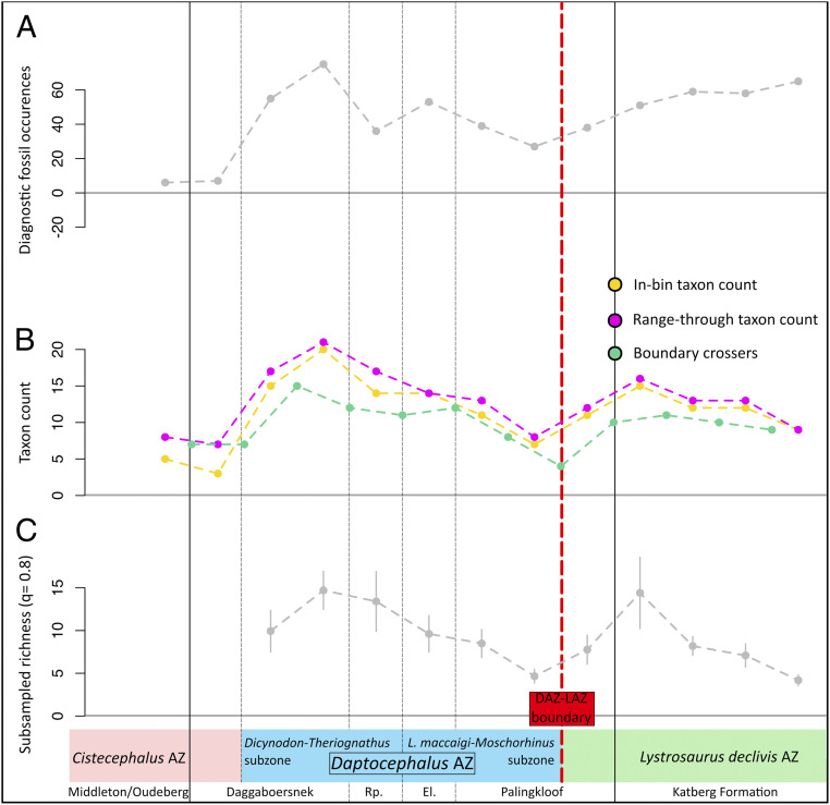 ( A ) Total diagnostic fossil occurrence counts; ( B ) in bin, range through, and boundary crossers taxon counts; and ( C ) subsampled species richness calculations for the 13 Permo–Triassic stratigraphic bin intervals in our study. Red line indicates the Daptocephalus – Lystrosaurus declivis Assemblage Zone boundary. Rp = Ripplemead member, El = Elandsberg Member.