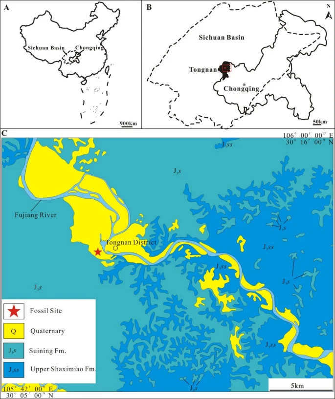 Fig. 1