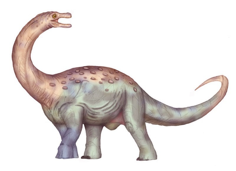 Maxakalisaurus
