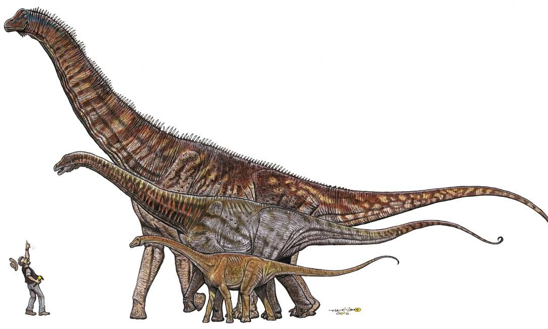 Comparação de tamanho de Maxakalisaurus topai com silhueta humana, evidenciando as dimensões do gigante cretáceo.