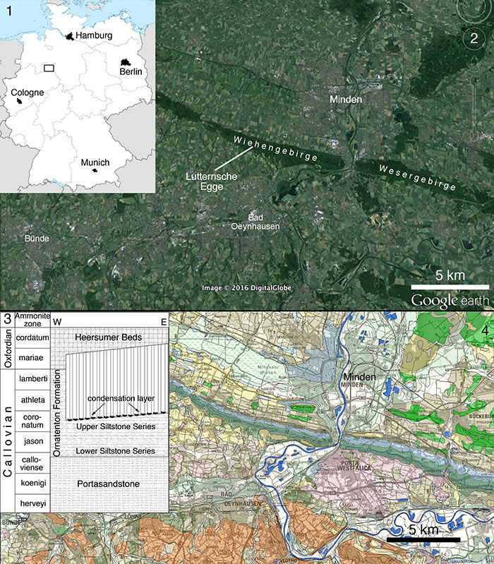 s figure 1