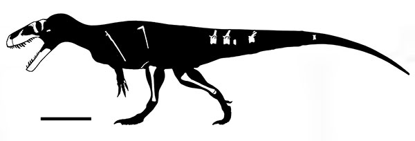 s figure 3