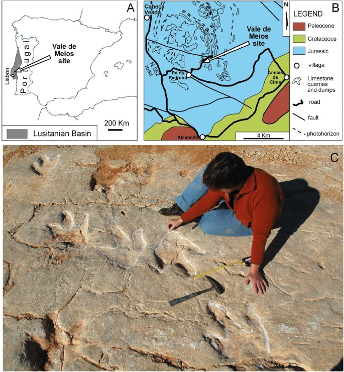 Figure 1: Geographical and geological setting of the Vale de Meios tracksite within the Lusitanian basin.