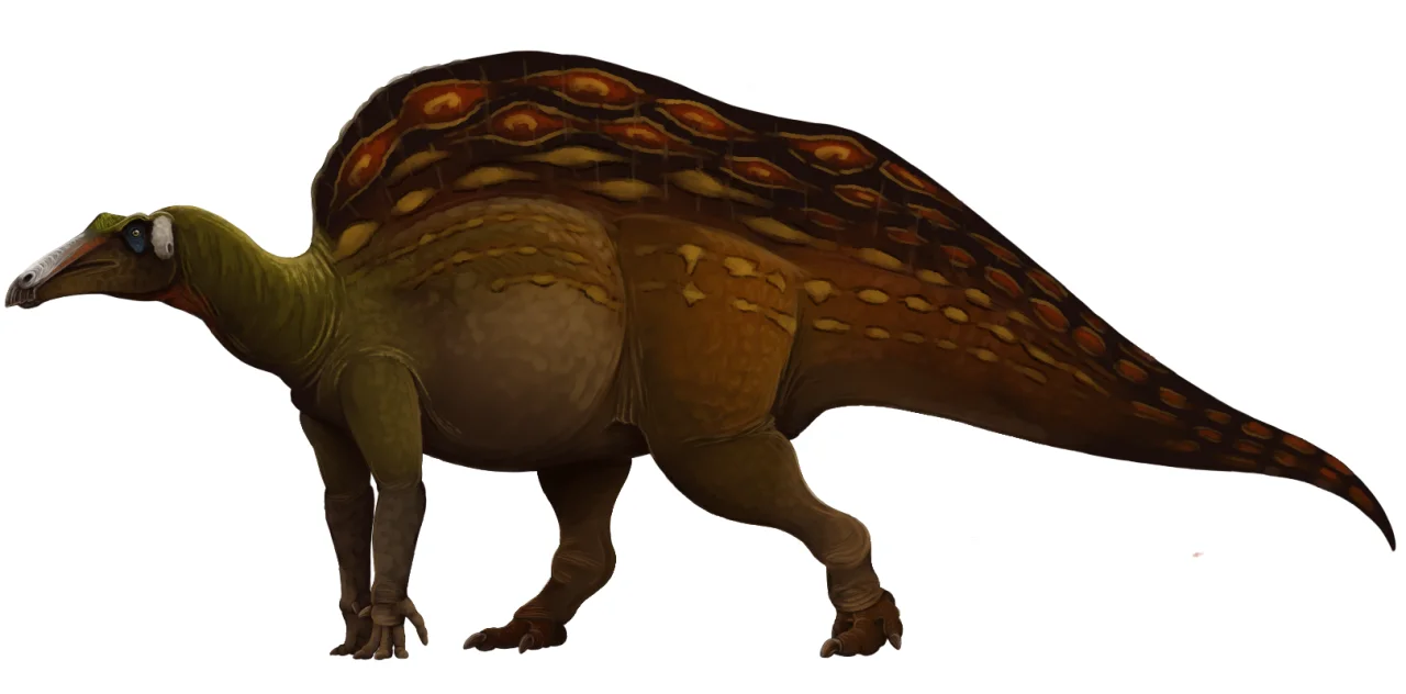 Artistic reconstruction of Ouranosaurus nigeriensis in lateral view, highlighting the dorsal sail with colorful patterns and facultative quadrupedal posture.