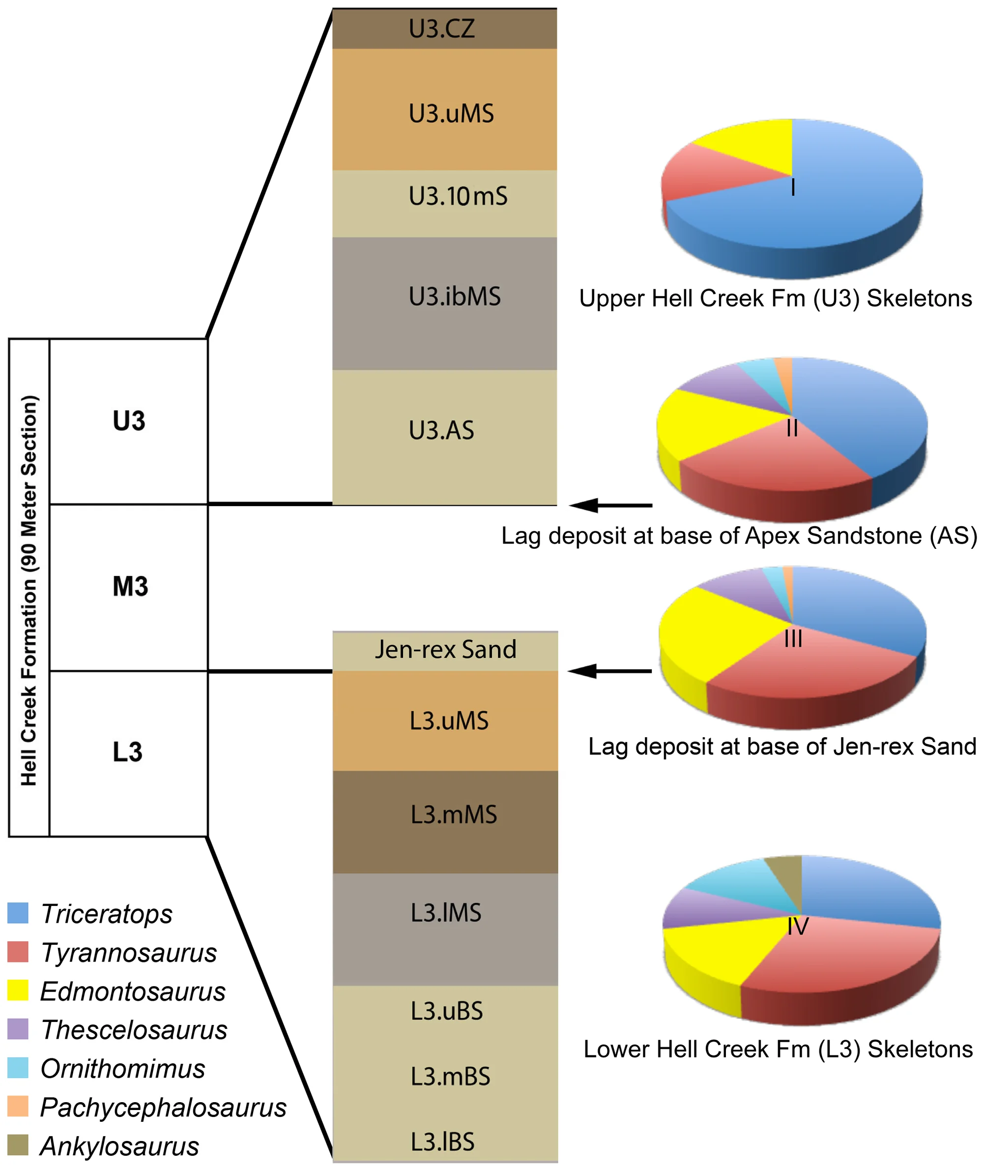 Figure 2. Stratigraphic divisions of the Hell Creek Formation with stratigraphic details of the upper third (U3) and lower third (L3) sequences referenced in the text and the associated pie chart showing dinosaur abundance.