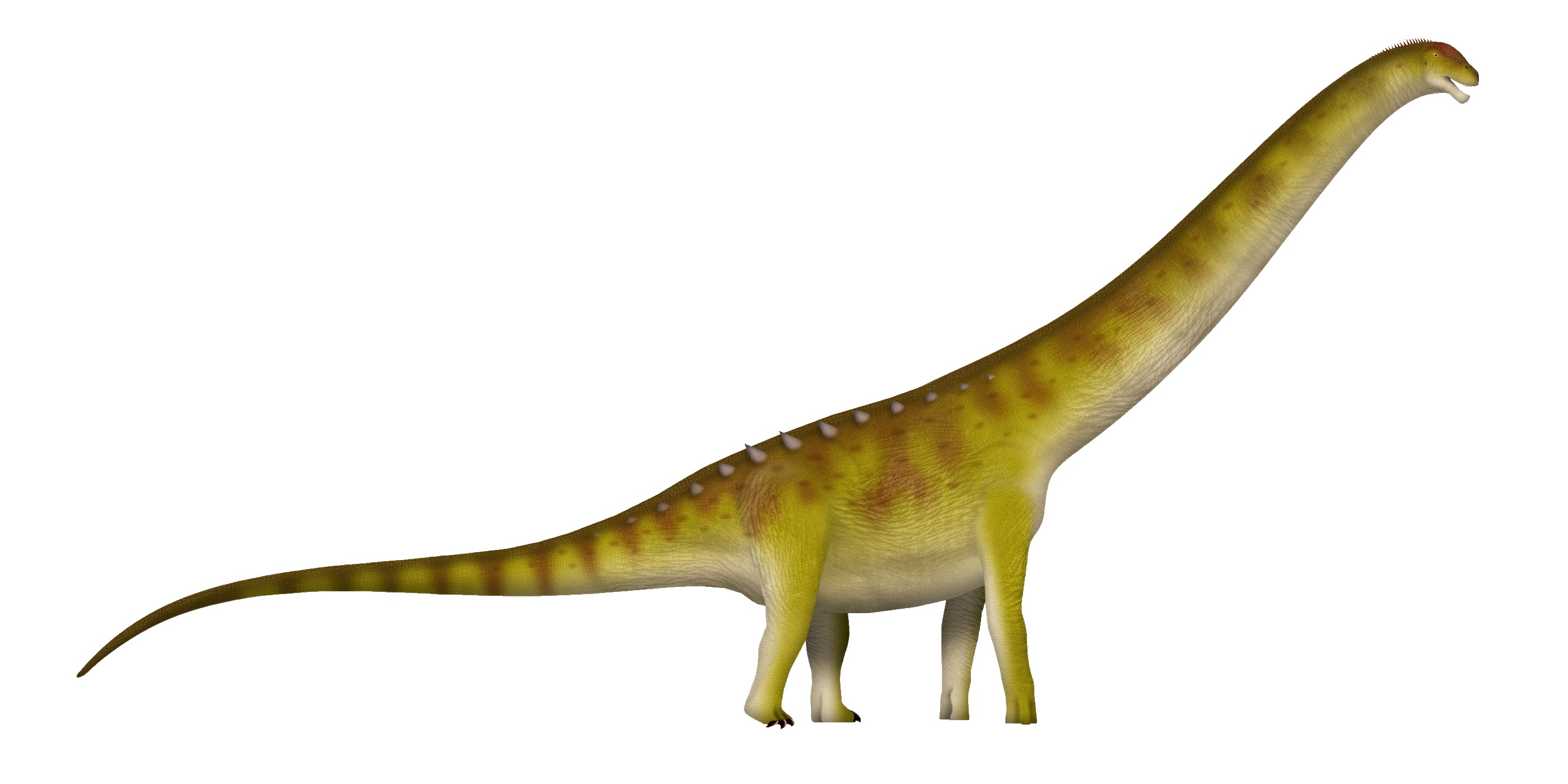 Patagotitan