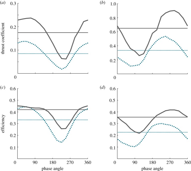 Modification of hydrodynamic performance of hind flipper owing to interaction with the fore flipper. Absolute thrust coefficient of the hind flipper ( C T ) for ( a ) low flapping frequency (St = 0.18) and ( b ) high flapping frequency (St = 0.36). Efficiency of the hind flipper ( η ) for ( c ) low flapping frequency St=0.18 and ( d ) high flapping frequency St = 0.36. These results are at a flipper-spacing of three chord lengths, and show the augmentation for 16 phases between the fore and hind