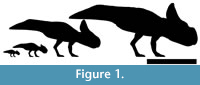 s figure1