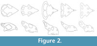 s figure2