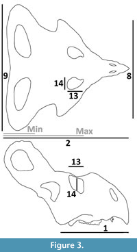 s figure3