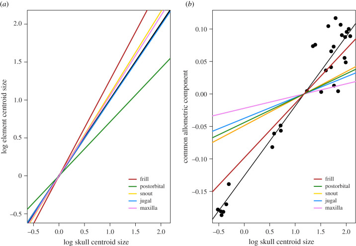 Log centroid size values of individual modules regressed against log skull centroid size ( a ) and CAC regressed against log skull centroid size ( b ). The black line in ( a ) is a slope of 1, representing isometry. Intercepts for all modules in ( a ) are set to zero to standardize comparisons. Black points in ( b ) represent whole-skull shape data, and the black line is the regression for these data. Individual module regression lines are coloured according to the module (individual specimen po