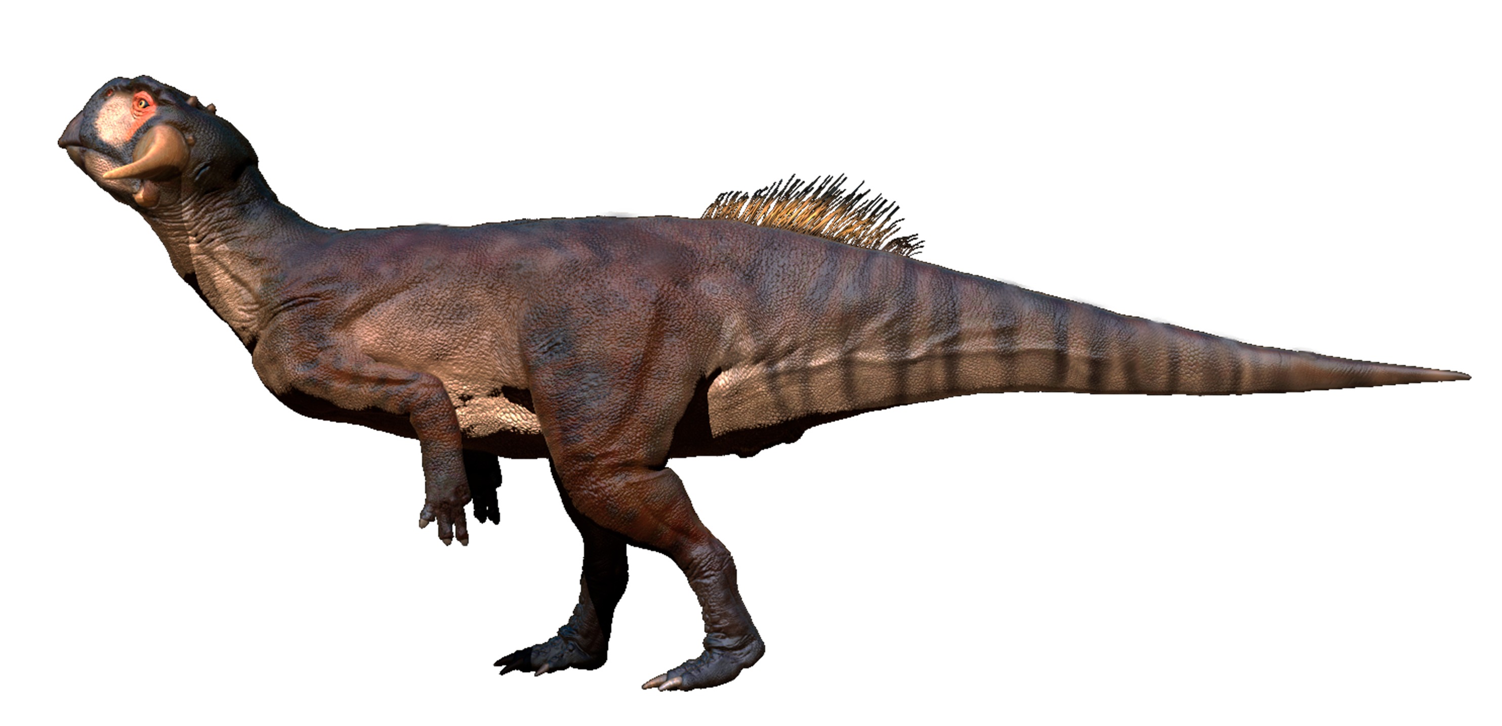 Psittacosaurus mongoliensis