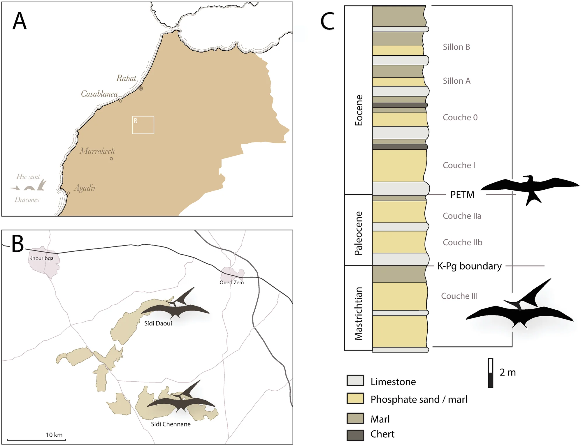 Fig 1. A) Map showing the location of the phosphate mines in Morocco, (B) map showing Sidi Daoui and Sidi Chennane mines, and (C) stratigraphic column for the phosphates of the Sidi Daoui area (after [ 40 ]).