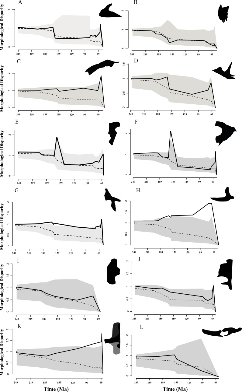 Morphological disparity through time estimated from 90% of the variance of the Phylo-PCs for the (A) maxilla, (B) premaxilla, (C) nasal, (D) jugal, (E) lacrimal, (F) postorbital, (G) squamosal, (H) quadratojugal, (I) quadrate and (J) frontal-parietal in dorsal views, (K) occipital region in posterior view and (L) inferior mandible in lateral view. The solid line represents the observed data, the dashed line represents the mean of simulations under the BM model, and the grey area is the 95% confi