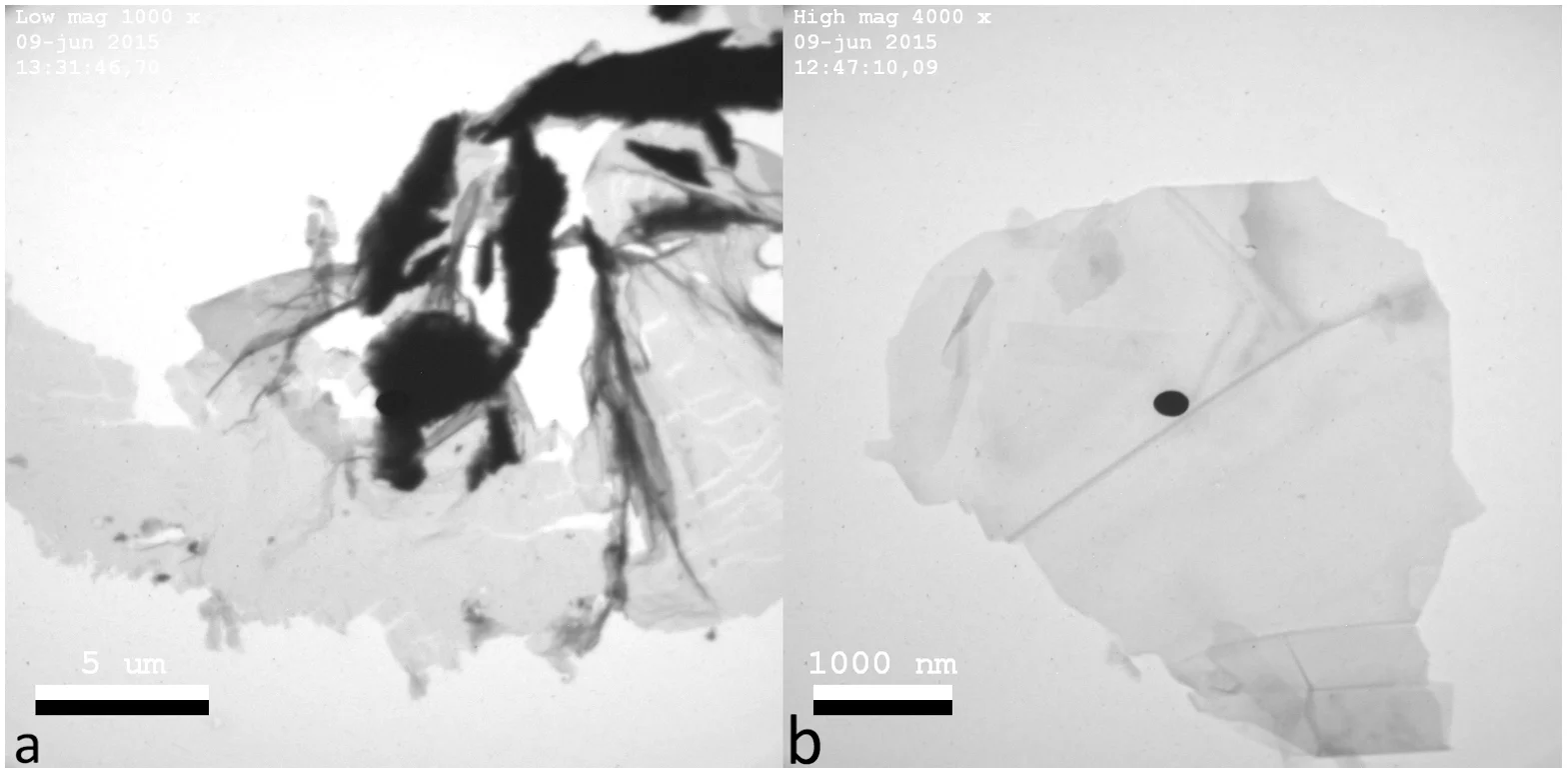 Fig 3. TEM-imaging.