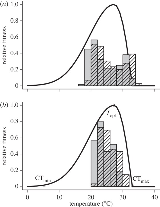 The fitness curve (showing CT min , T opt and CT max ) for a representative location in coastal Ecuador (1.2496′ S, 80.08366′ W), the tropical location for which directed movement is most advantageous. We show the seasonal and diurnal temperature variation for both the late-twentieth century (1950–1990, grey bars) and for a model simulated climate of the late-twenty-first century (2070–2100, hatched bars). In the ( a ) focal cell, climate change leads to a fitness detriment as temperatures rise 