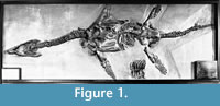 s figure1