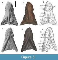 s figure3