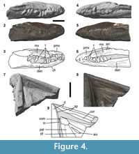 s figure4