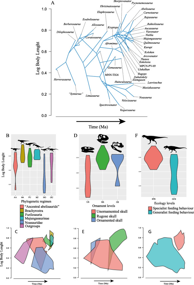 Violins (B, D & F) and phenograms (A, C, E,& G) plots in Bayesian topology showing: A The Ceratosauria BL evolution over the time, B difference in Log BL between Phylogenetic regimen s, C Polygons show the space of BL evolution occupy by Phylogenetic regimen s over the time D ) difference in Log BL between types of ornament, E Polygons show the space of BL evolution occupy by types of ornament over the time, F difference in Log BL between types of feeding strategy G ) Polygons show the space of 