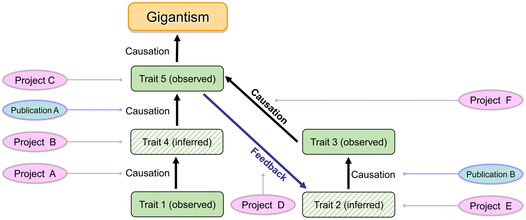 Figure 2. Testing an ECM by testing inferred traits and hypotheses of causation through transdisciplinary paleobiological research.