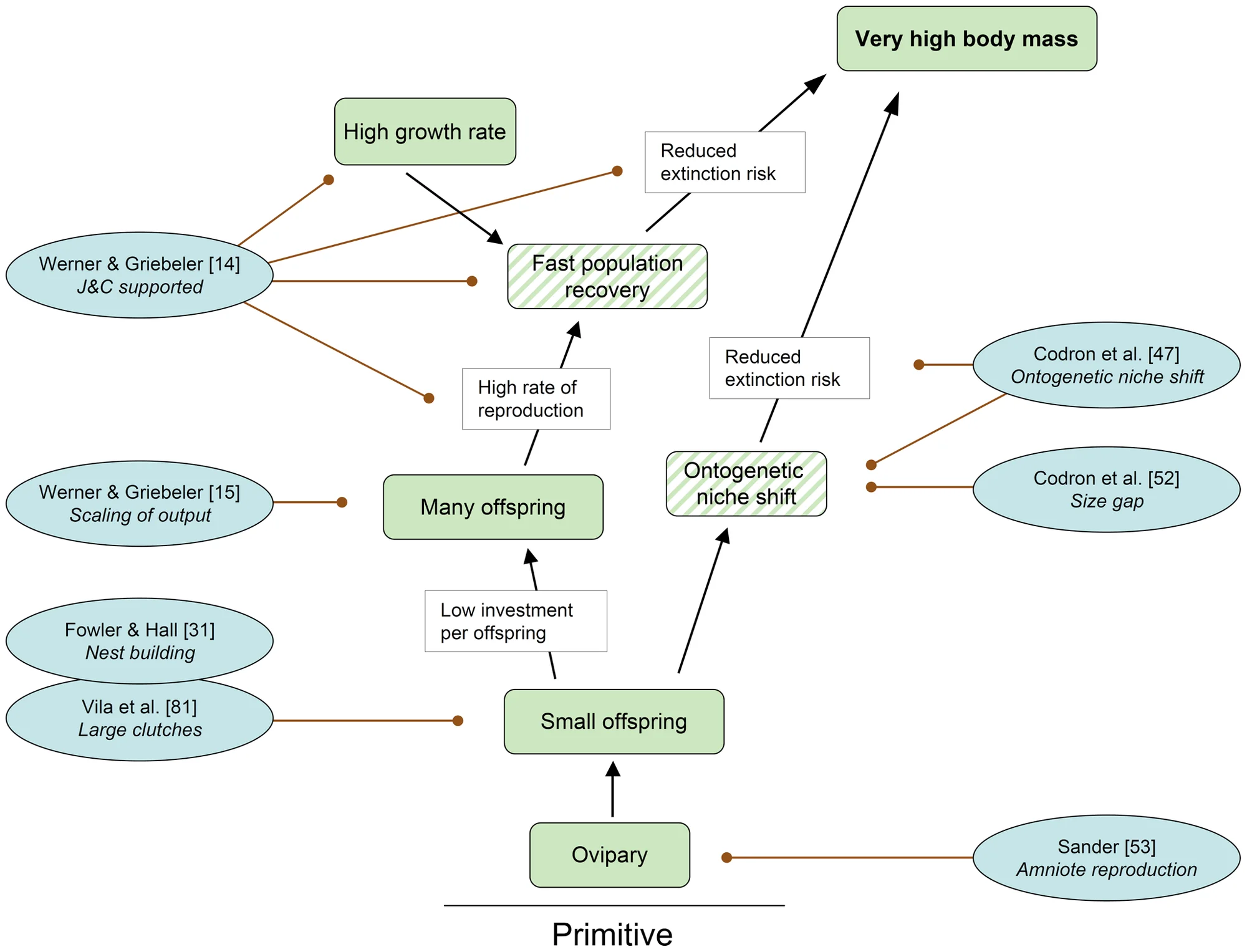 Figure 4. Cascade “Reproduction” with pertinent references published since 2010.