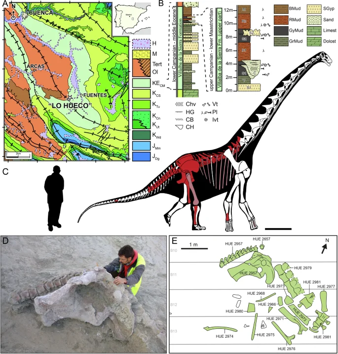 Fig. 1: Geographic and geological setting of the palaeontological site of Lo Hueco.