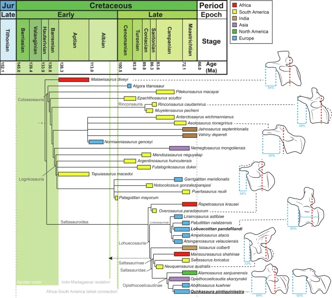 Fig. 3: Phylogenetic relationships of Qunkasaura pintiquiniestra.