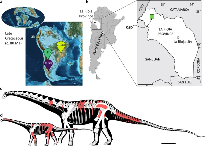 Fig. 1: Titanosaurian record in South America, map of the study area and skeletal reconstructions of the new titanosaurian species.