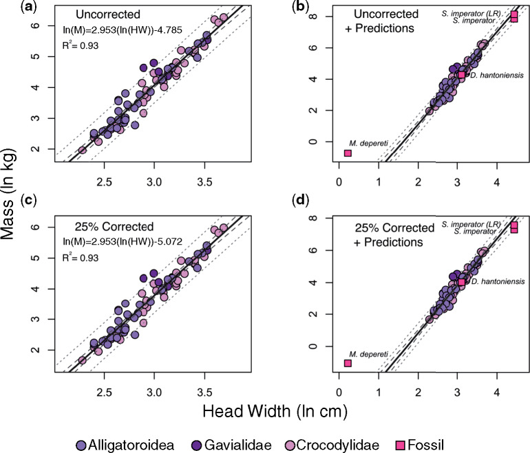 Regression plots quantifying the relationship between HW (cm) and mass (kg). In all plots, the regression line is solid, 95% confidence intervals are the longer dashed lines, and the 95% PIs are the smaller dashed lines. Note the different scales for each plot. Regression plot ( a ) demonstrates the relationship between HW and raw, uncorrected mass among extant taxa. In plot ( b ), fossil phylogenetic predictions derived from the regression equation in (a) have been added. Regression plot ( c ) 