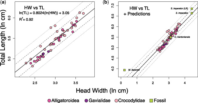 Regression plots quantifying the relationship between HW (cm) and TL (cm). In both plots, the regression line is solid, 95% confidence intervals are the longer dashed lines, and the 95% PIs are the smaller dashed lines. Note the different scales for both plots. Regression plot ( a ) represents the relationship between HW and TL among extant taxa. Plot ( b ) demonstrates the phylogenetic predictions of TL for extinct crocodyliforms, as estimated from the regression equation in (a). Sarcosuchus im