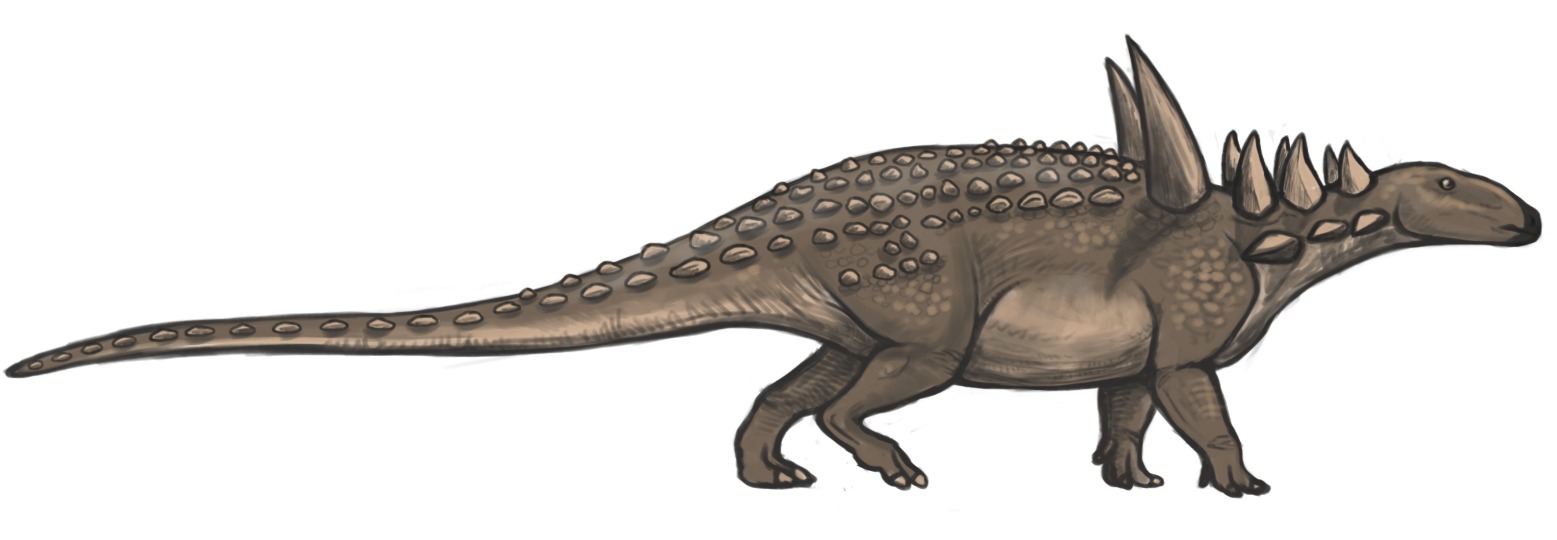 Sauropelta edwardsorum