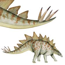 Scientific illustration of Stegosaurus showing the dorsal plates and tail spikes (thagomizer).