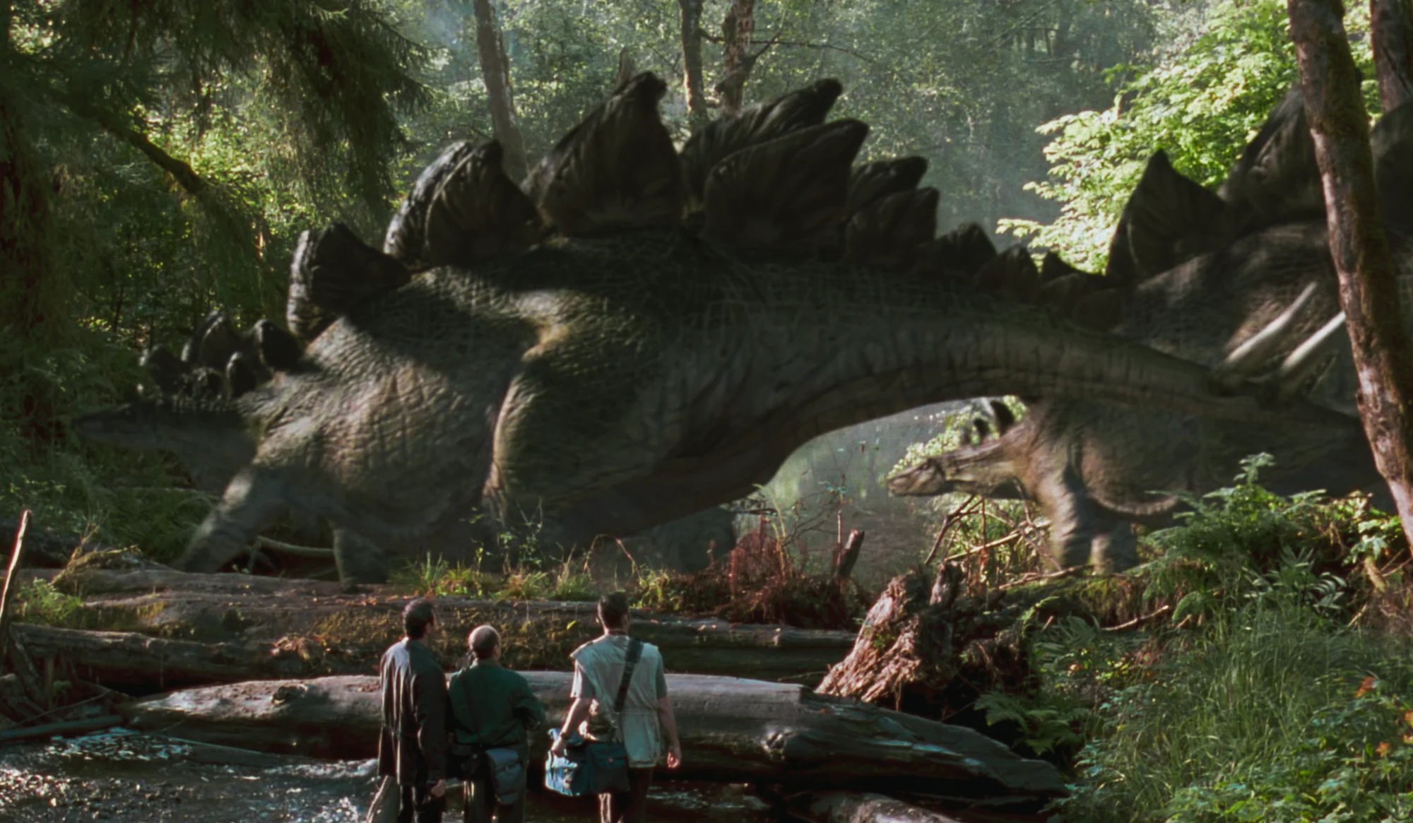 Artistic reconstruction of Stegosaurus armatus — the 17 alternating dorsal plates running from neck to tail are the animal's most iconic feature, whose function still generates scientific debate.