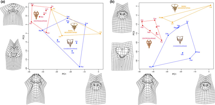 Results of the Procrustes superimposition analysis of neoceratopsians possessing a parietal fenestra. (a) PCA bivariate plot summarizing the results of the analysis for PC 1 and PC 2. (b) PCA bivariate plot for PC1 and PC3